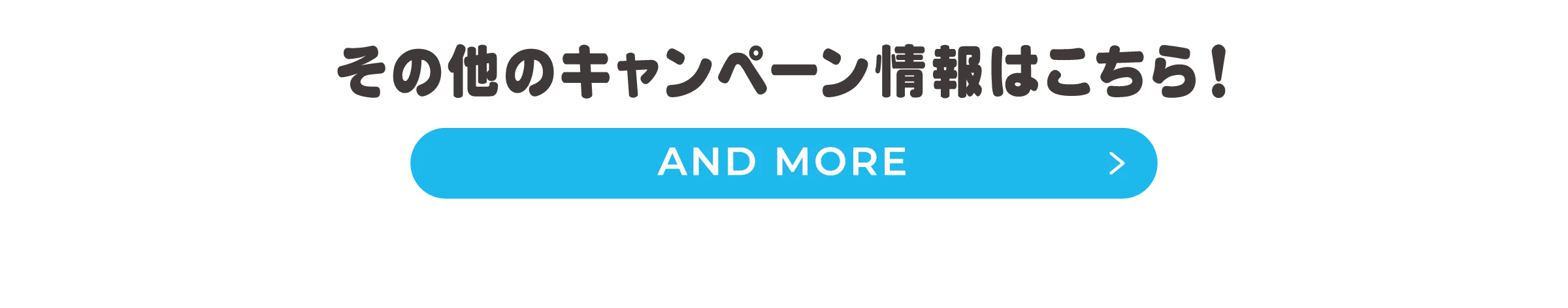 その他キャンペーン情報リンク