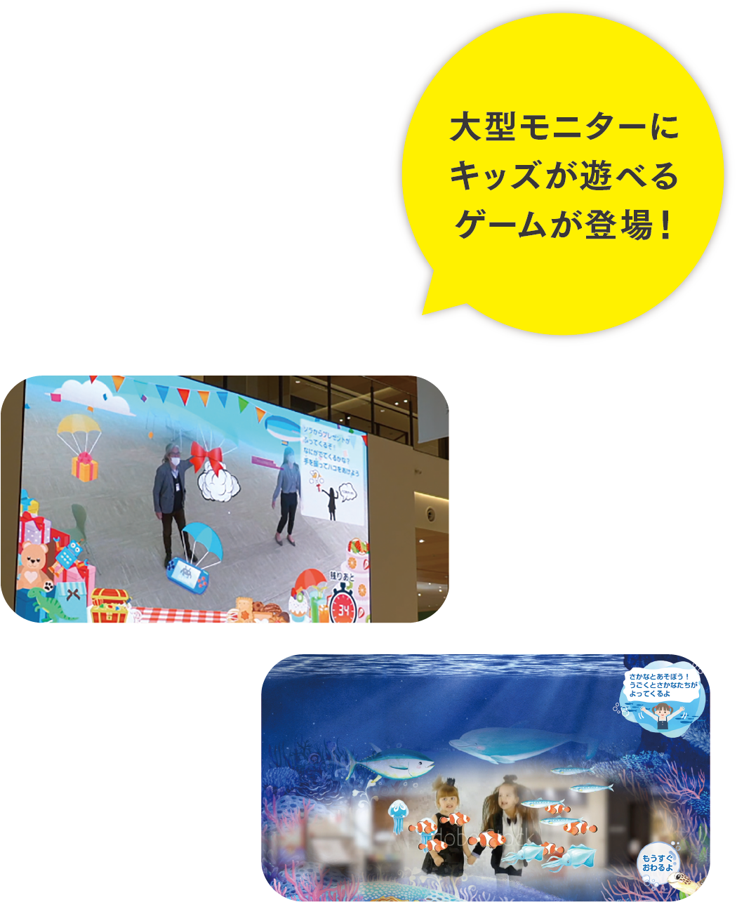 さざんかコート写真