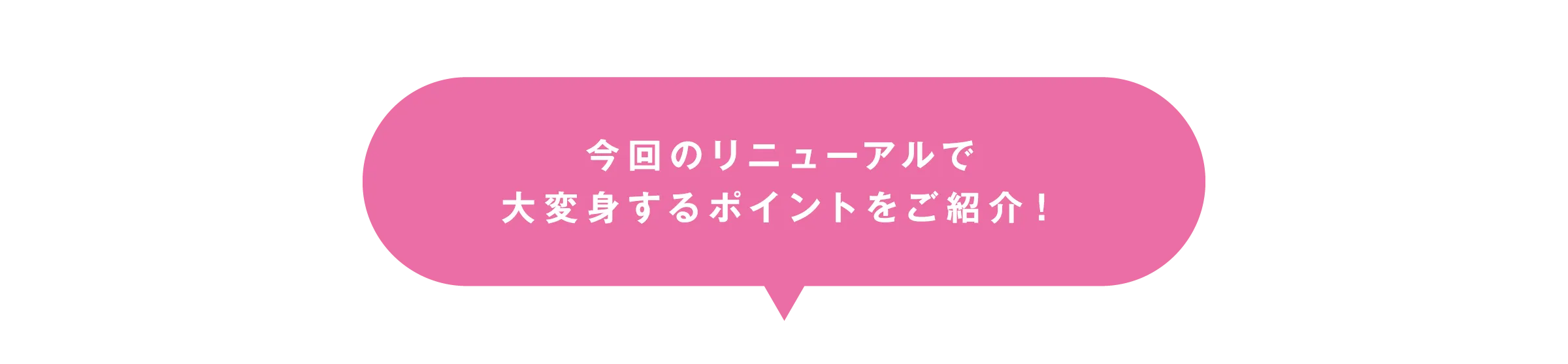 リニューアルのポイント紹介
